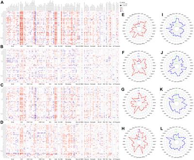 Identification of immune biomarkers associated with basement membranes in idiopathic pulmonary fibrosis and their pan-cancer analysis